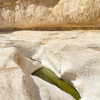 liem_sadan Altpins Profile Picture