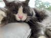 lihi.k_ Altpins Profile Picture