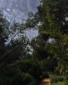lihi.k_ Altpins Profile Picture