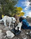 lihi.k_ Altpins Profile Picture