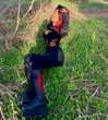 liiuuar Altpins Profile Picture
