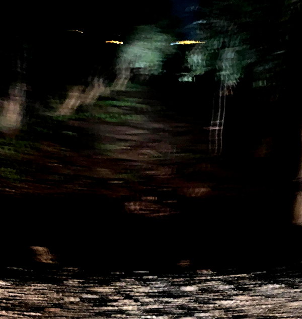 liiuuar instagram image archive image