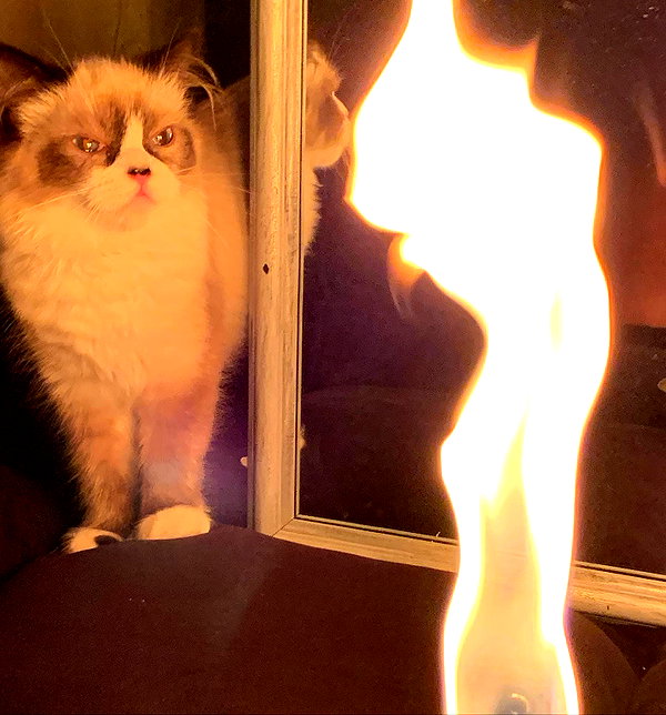 liiuuar instagram image archive image