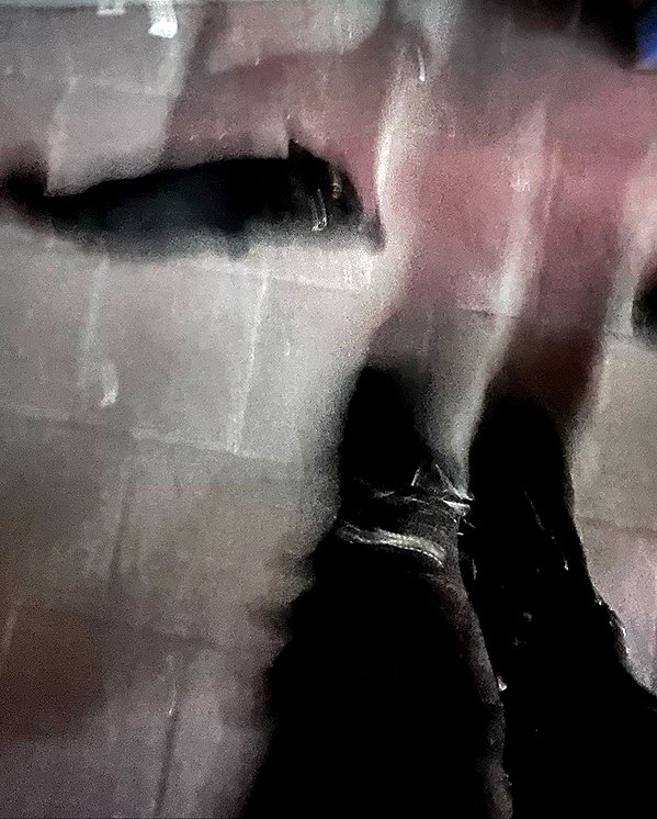 liiuuar instagram image archive image