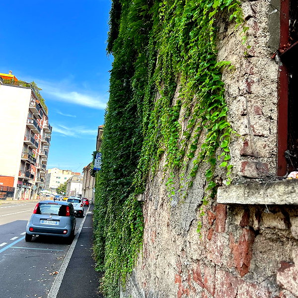 liiuuar instagram image archive image