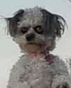 liiuuar Altpins Profile Picture