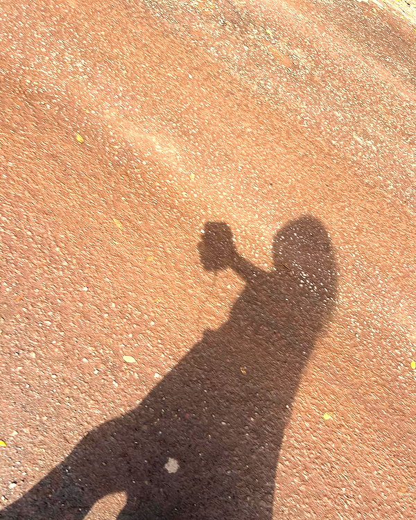 liiuuar instagram image archive image
