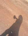 liiuuar Altpins Profile Picture