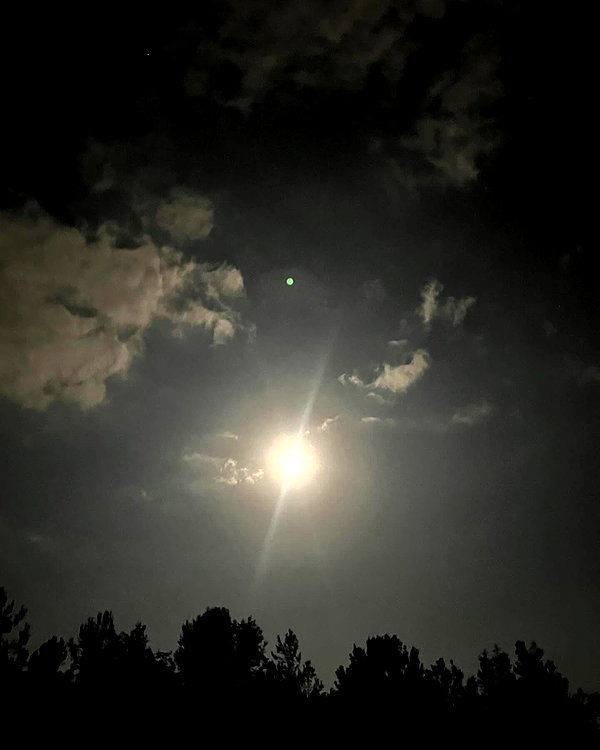 liiuuar instagram image archive image