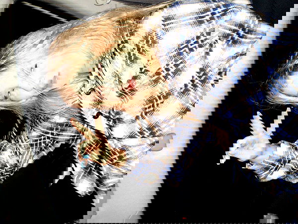 lila.garnik lila.garnik archive image