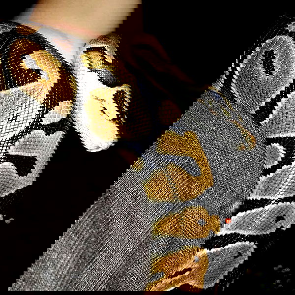 lilith.hecate lilith.hecate archive image