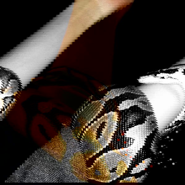 lilith.hecate lilith.hecate archive image