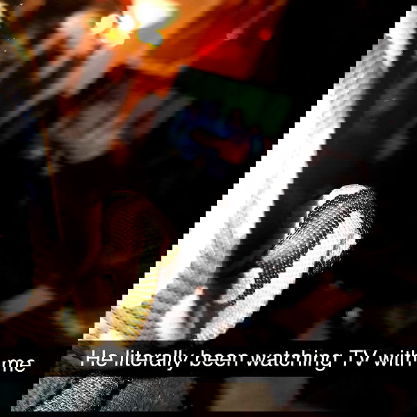 lilith.hecate lilith.hecate archive image