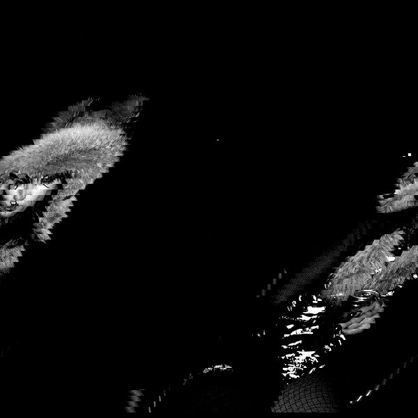 lilith.hecate lilith.hecate archive image