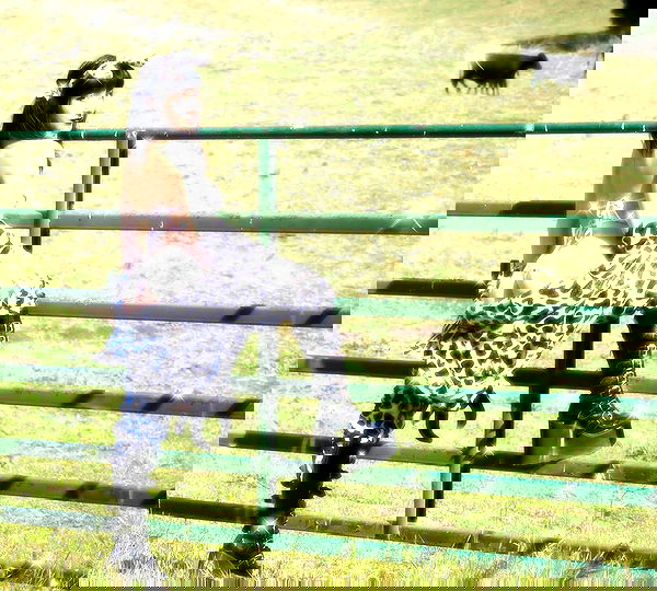 lilith.hecate lilith.hecate archive image