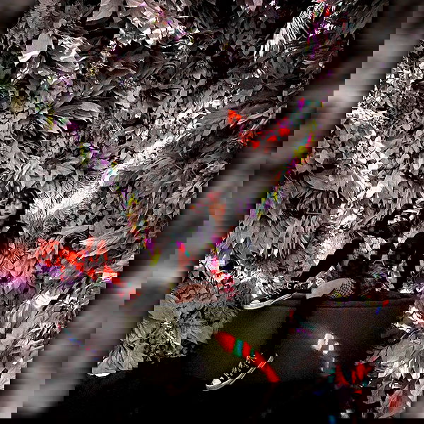 lilith.hecate lilith.hecate archive image