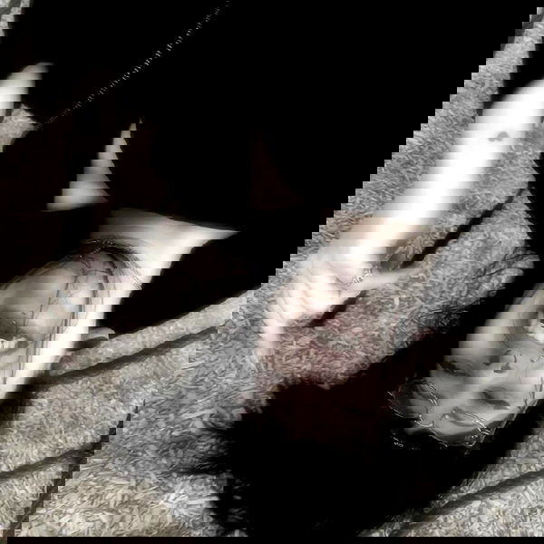 lilith.hecate lilith.hecate archive image