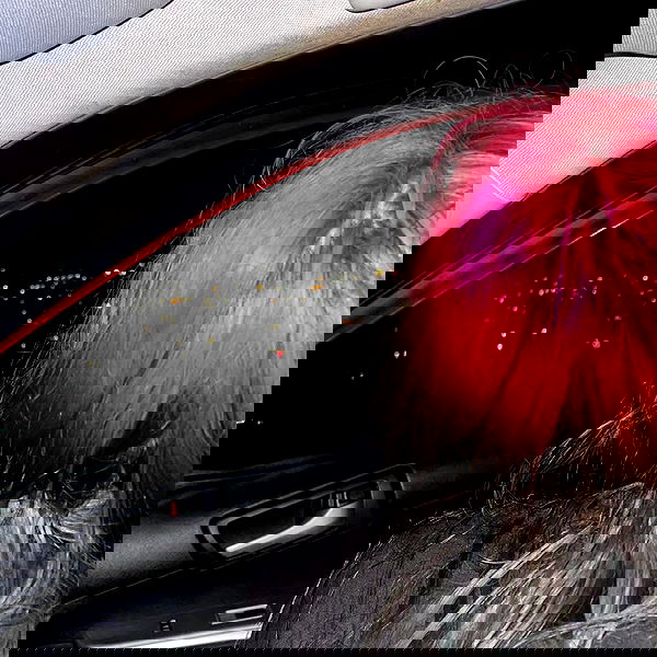 lilith.hecate lilith.hecate archive image