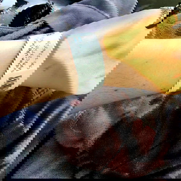 lilith.hecate lilith.hecate archive image