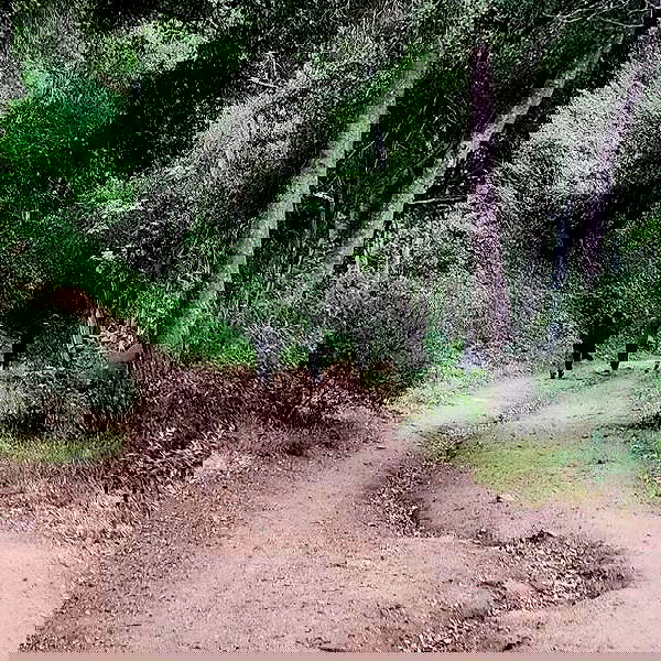 lilith.hecate lilith.hecate archive image