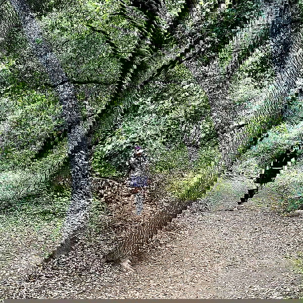 lilith.hecate lilith.hecate archive image