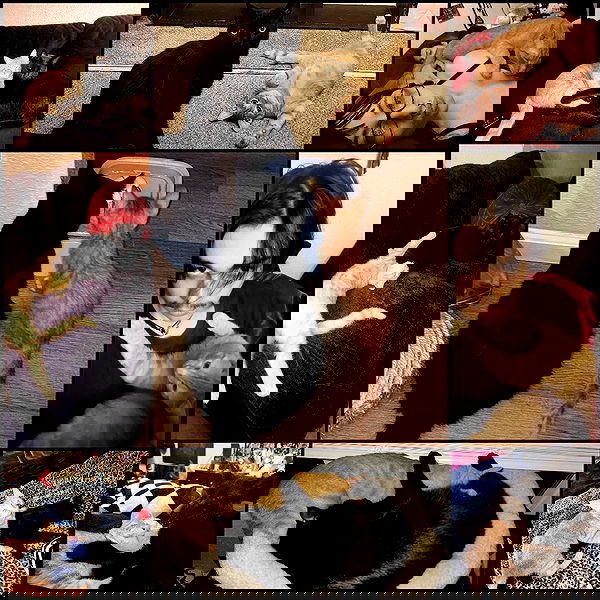 lilith.hecate lilith.hecate archive image