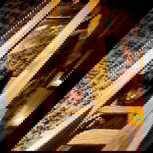 lilith.hecate lilith.hecate archive image