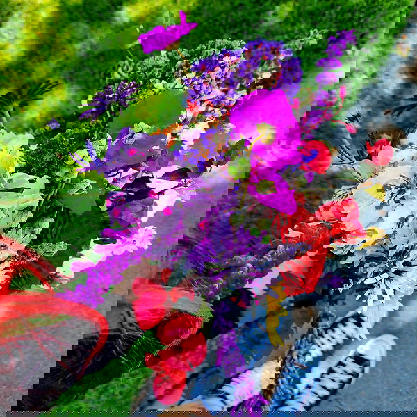 lilith.hecate lilith.hecate archive image