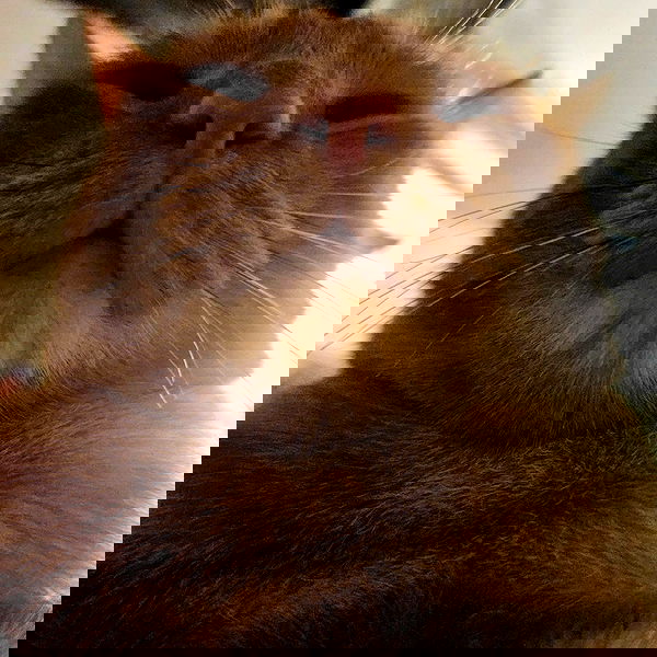 lilith.hecate lilith.hecate archive image