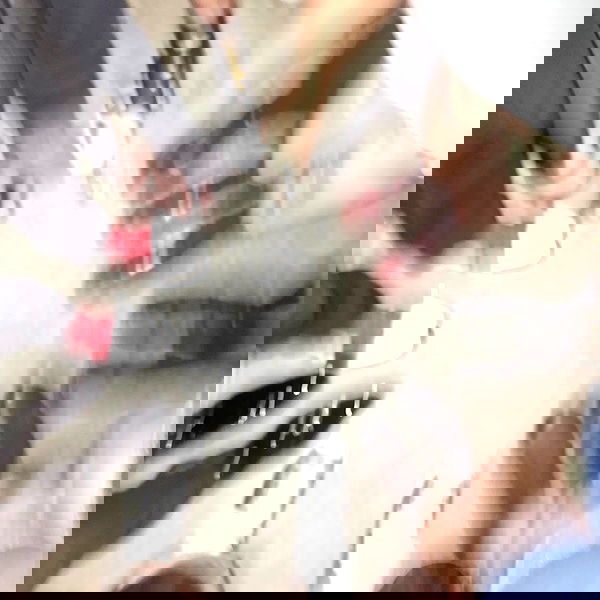 lilith.hecate lilith.hecate archive image