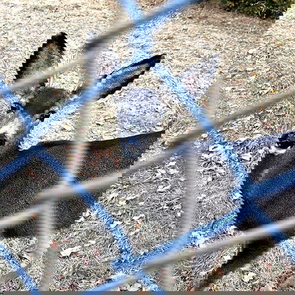 lilith.hecate lilith.hecate archive image