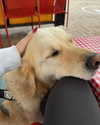 lilliaanderson Altpins Profile Picture