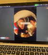 lillywestonn Altpins Profile Picture