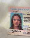 lillywestonn Altpins Profile Picture