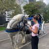 lillywestonn Altpins Profile Picture