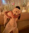 lillywestonn Altpins Profile Picture