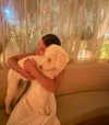 lillywestonn Altpins Profile Picture