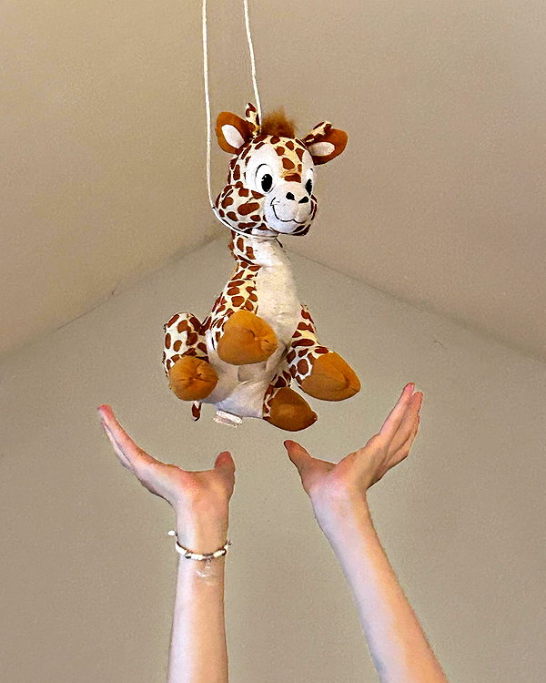 lilyraedolls instagram image archive image