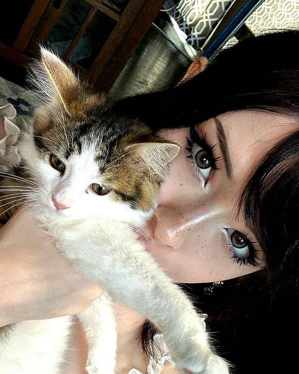lilyraedolls instagram image archive image