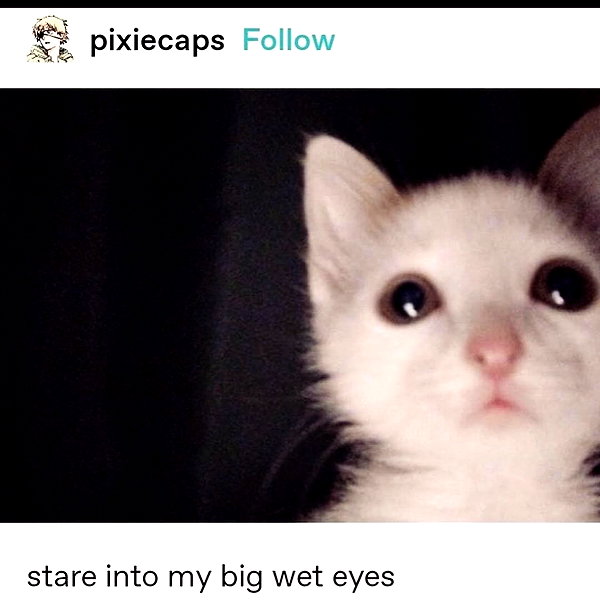 lilyraedolls instagram image archive image