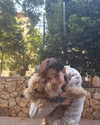 lin_6615_ Altpins Profile Picture