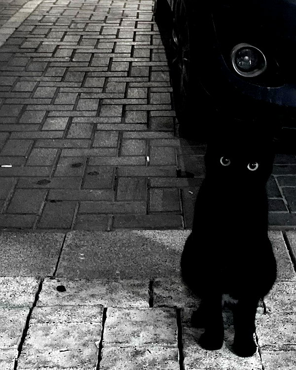 linraimoch instagram image archive image