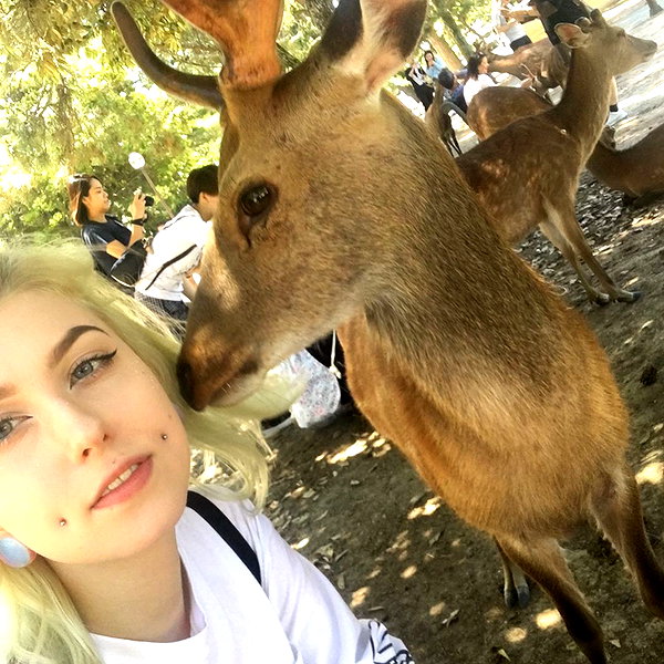 linzor instagram image archive image