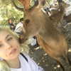 linzor Altpins Profile Picture