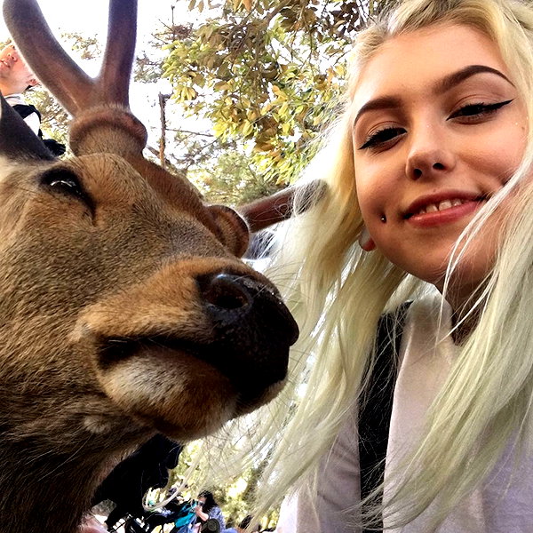 linzor instagram image archive image