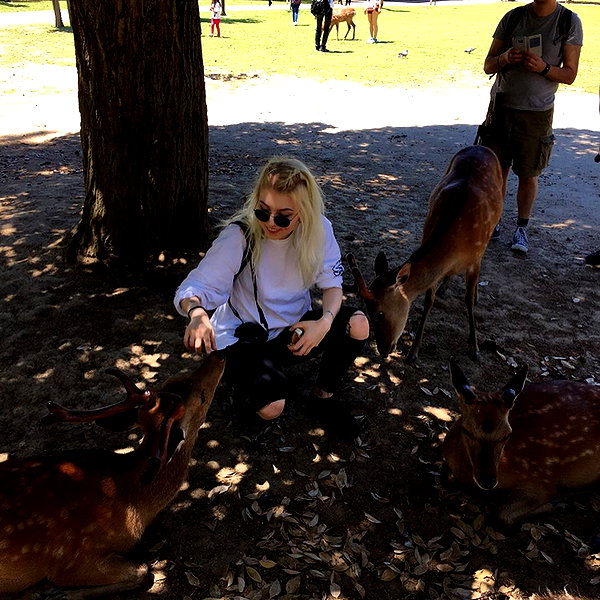 linzor instagram image archive image