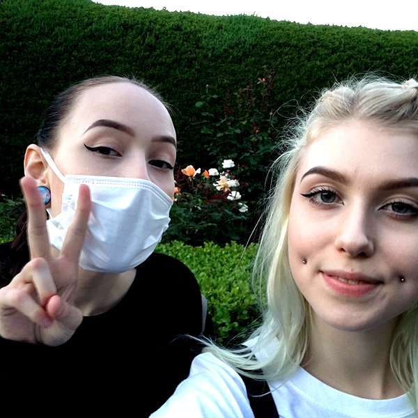 linzor instagram image archive image