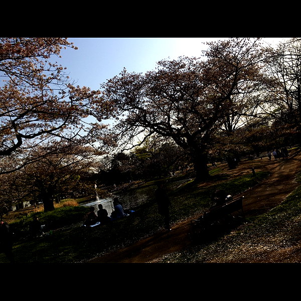 linzor instagram image archive image