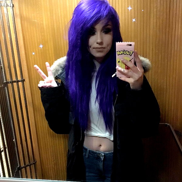 linzor instagram image archive image