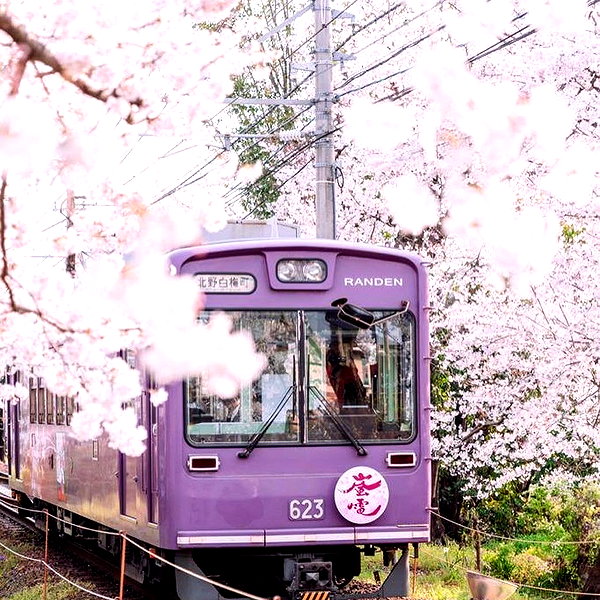 linzor instagram image archive image
